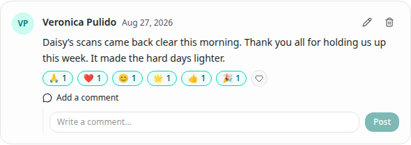The current Daisy update with Add a comment expanded, the Write a comment field, and disabled Post button